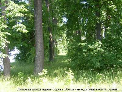 Продаю земельный участок ИЖС 30 соток на берегу Волги