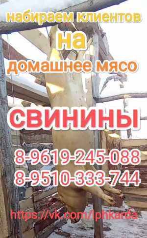 Домашние мясо свинины