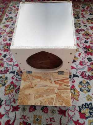 куриный домик с яйцесборником