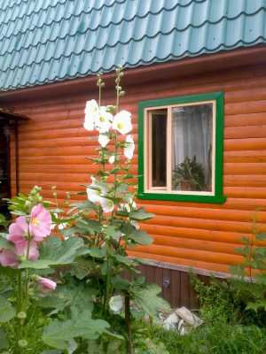 ��� 105 �2
