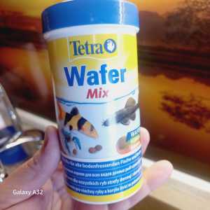 Корм для аквариумных рыбок