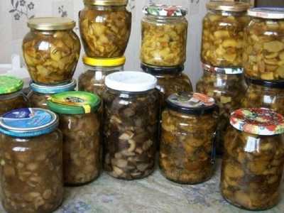 Грибы сухие и маринованные.