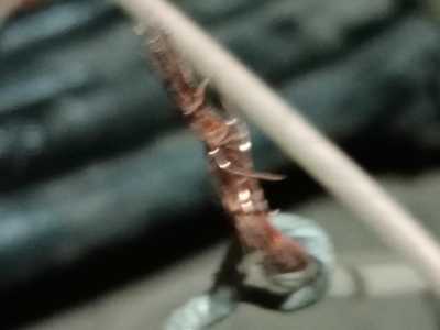 Кабель 19 жил 3 5 мм 20м 8кг мндный 3шт