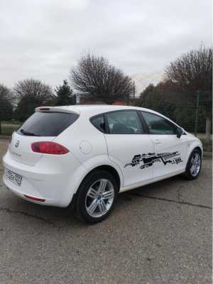 SEAT Leon, 2010 �. �. ���� 1.4 turbo