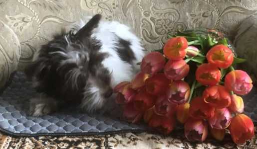 �����