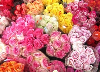 Тюльпаны и розы от 35 руб.