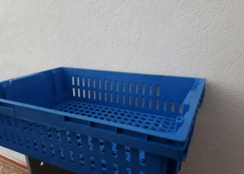    ( )