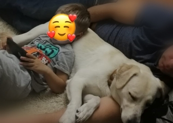 Отдам в хорошие руки