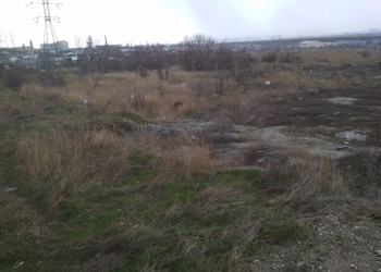 Участок 28 соток