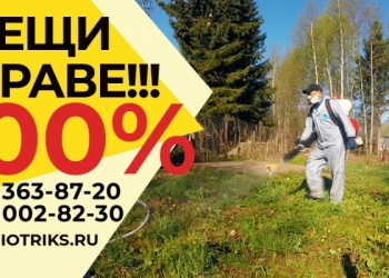 Обработка участков от клещей акарицидами