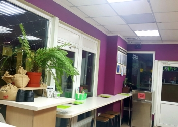 Продаётся действующее кафе