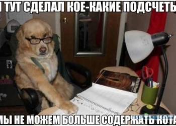 Бухгалтерские услуги