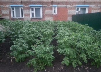 3-к квартира, 98 м2, 1/2 эт.