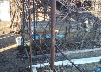 Продажа земельного участка