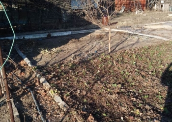 Продажа земельного участка