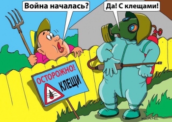 Обработка участка от клещей, уничтожение клещей на участке в Туле и области.