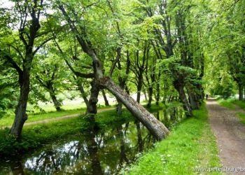 1-я квартира, 34 м2, 1/5 эт.