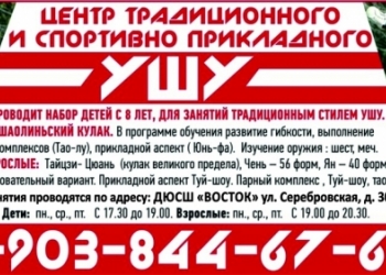 Тренеровки по УШУ,Шаолиньский кулак.Тайцзи-Цюань.