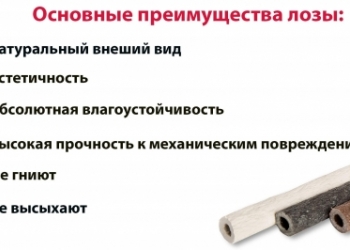 Полимерная лоза