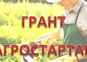 Грант на реализацию проектов агростартап