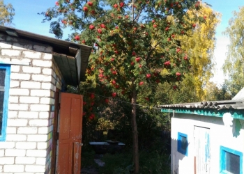 32 м2