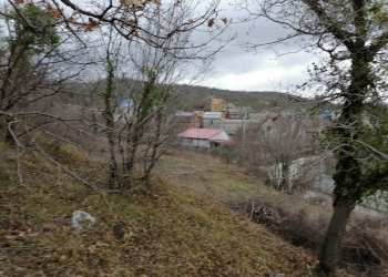Участок на краю леса.