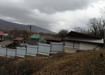 Участок на краю леса.