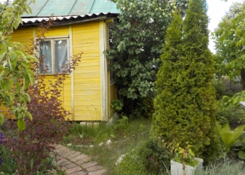 Дача