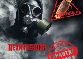 Уничтожение клопов