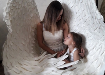 Крылья в аренду.