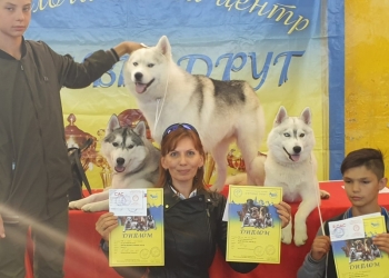 Великолепные щенки от титулованных родителей