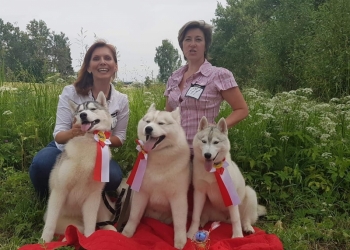 Великолепные щенки от титулованных родителей