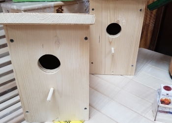 Скворечник