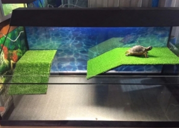 Изготовление акватеррариумов