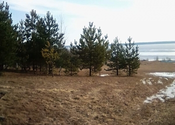 Дом