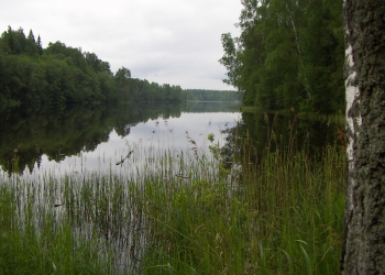 2-к квартира, 54 м2, 3/3 эт.