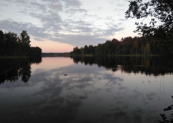 2-к квартира, 54 м2, 3/3 эт.