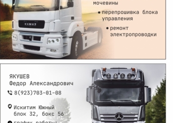 Автоэлектрик/Правильное отключение мочевины