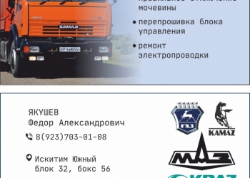 Автоэлектрик/Правильное отключение мочевины