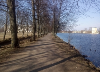 Сдаю 1-к квартиру, 34 м2, 1/5 эт в Петергофе.
