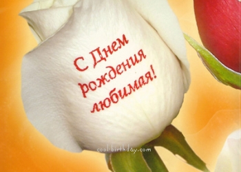 Пишу стихи, пишу песни, делаю видеоролики к любому событию