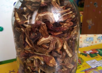 сушеные белые грибы