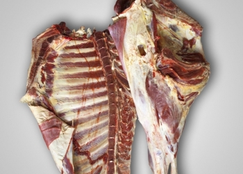 Мясо говядина