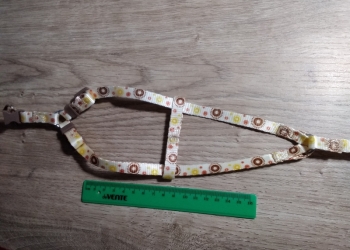 Ошейник дла собаки чихуахуа