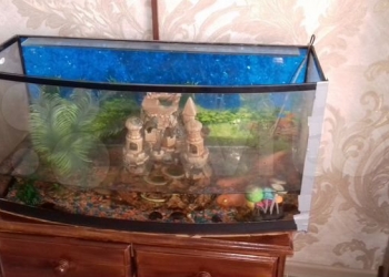 Продам БУ аквариум