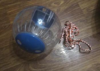 Шар и поводок для хомяков