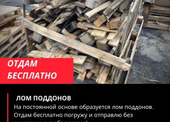 Дрова бесплатно самовывоз - отдам бесплатно