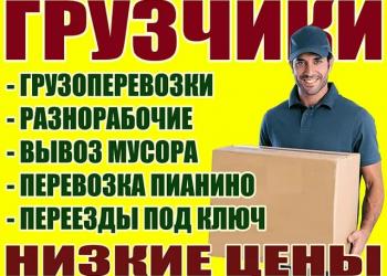 Грузоперевозки и грузчики