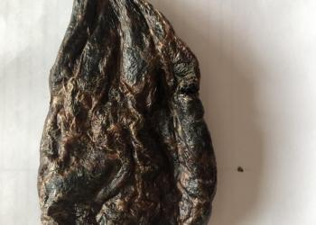 Бобровая струя