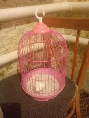 Клетка для попугаев